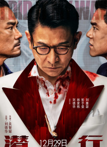 免费看一级淫片成人
